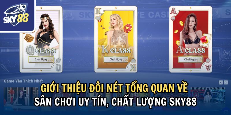 Giới thiệu đôi nét tổng quan nhà cái Sky88