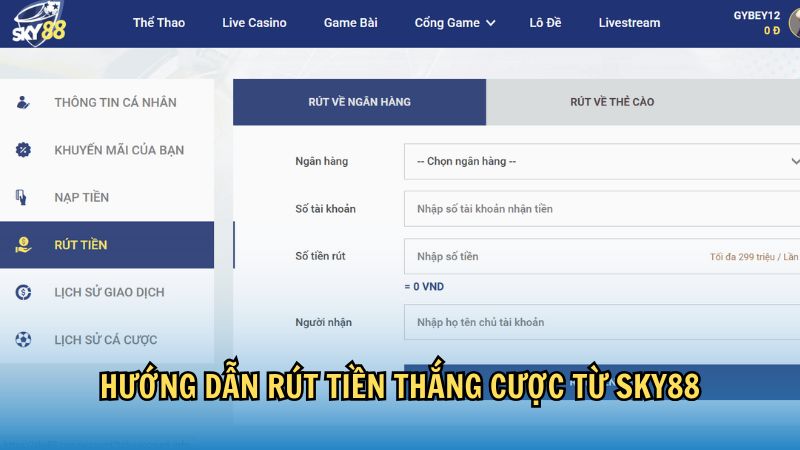 Hướng dẫn rút tiền thắng cược từ nhà cái sky88