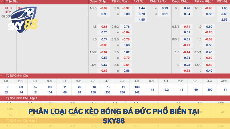 Phân loại các kèo bóng đá Đức phổ biến tại sky88