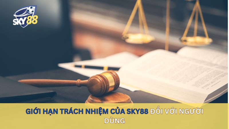 Giới hạn trách nhiệm của sky88 đối với người dùng